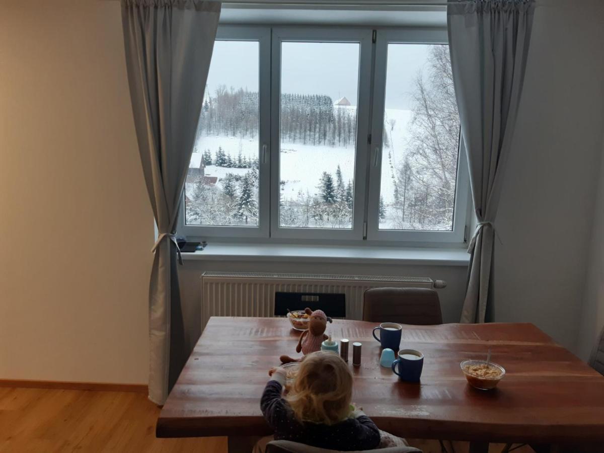 Apartman U Kunstatskeho Mlyna Orlicke Zahori ภายนอก รูปภาพ