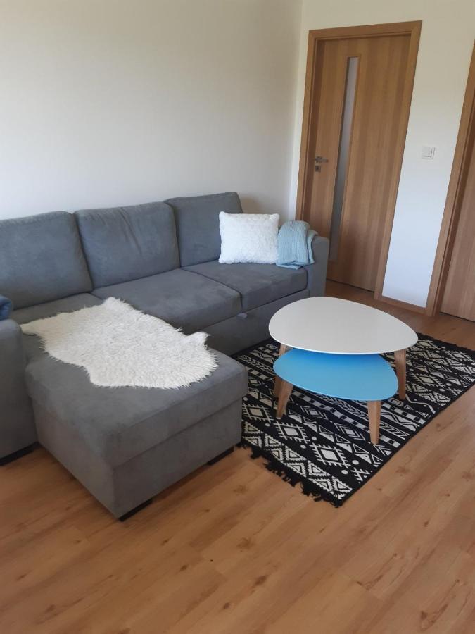 Apartman U Kunstatskeho Mlyna Orlicke Zahori ภายนอก รูปภาพ