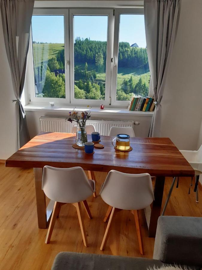 Apartman U Kunstatskeho Mlyna Orlicke Zahori ภายนอก รูปภาพ