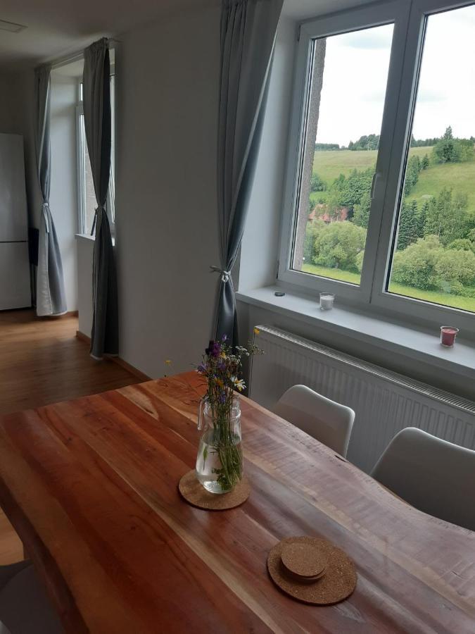 Apartman U Kunstatskeho Mlyna Orlicke Zahori ภายนอก รูปภาพ