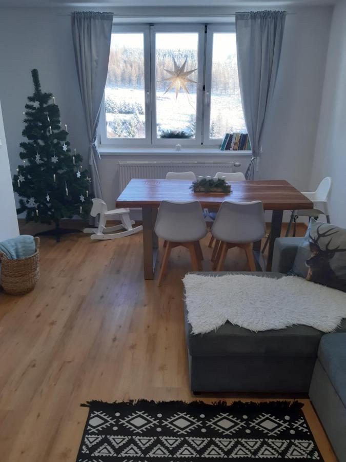 Apartman U Kunstatskeho Mlyna Orlicke Zahori ภายนอก รูปภาพ